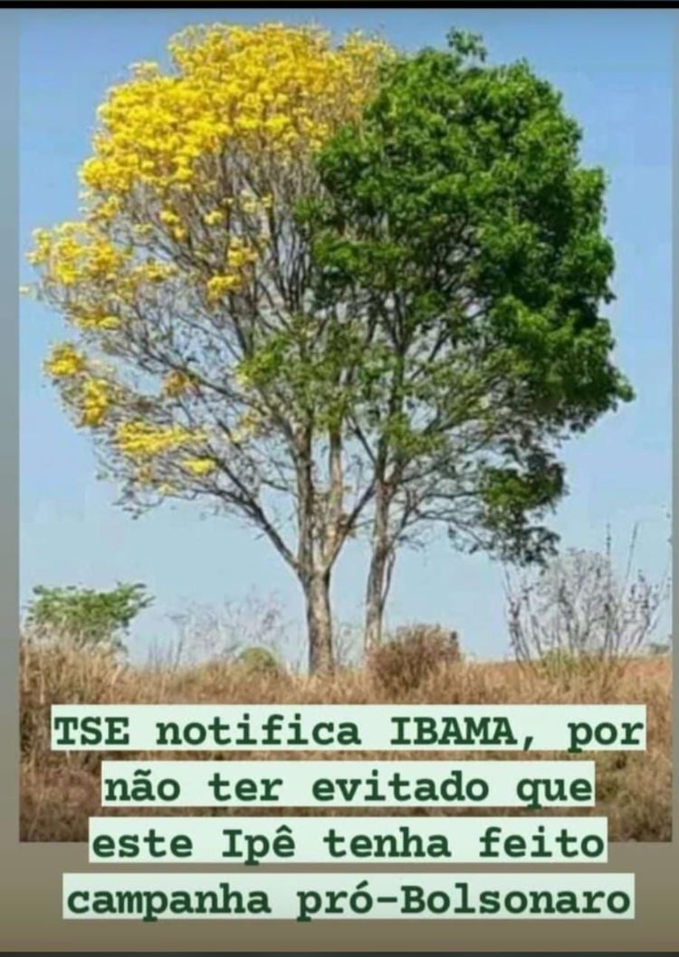 vomarcelo1's tweet photo. https://t.co/ZvRCCNakIp
