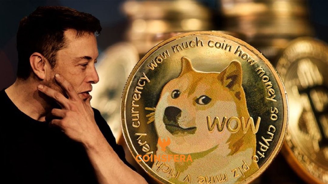 DOGE price has more room to decline despite Elon Musk's visible efforts to revive its upside boom. Its loses in both USD and BTC terms since Elon Musk's SNL appearance are considerable.

#CryptoNews #crypto #news  #bitcoin #btc #btcnews #eth #ethereum #nft #finance #dogecoin