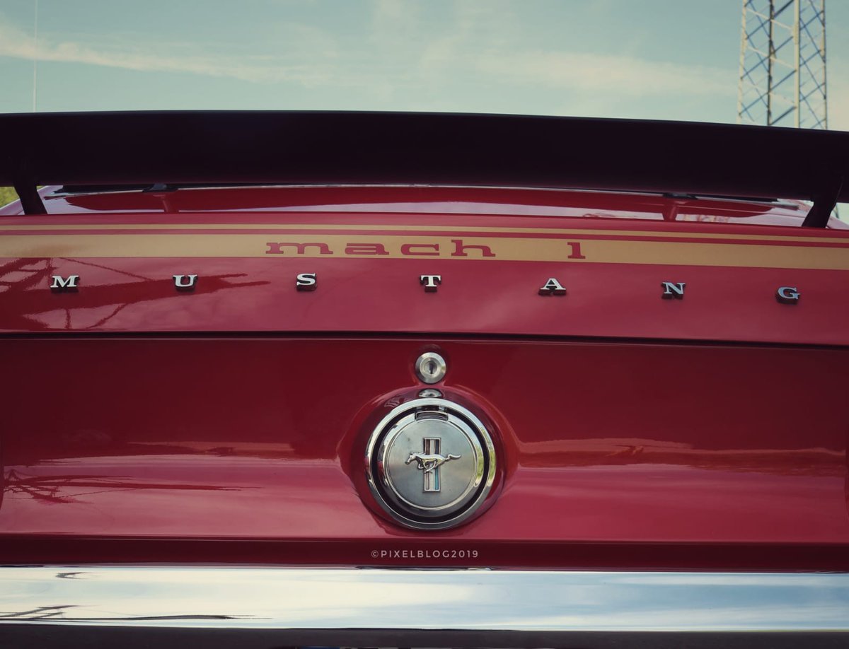 pixelblog2019's tweet photo. Mach 1.....

#mustang #mustangmach1 #oldtimer #oldtimertreffen #old #oldschool #ford #fordmustang #mach1 #oldtimerphotography #photooftheday #photographylovers #photographer #photogram #car #carporn #cargram #pferd #horse #horsepower https://t.co/WEI33BxWFd