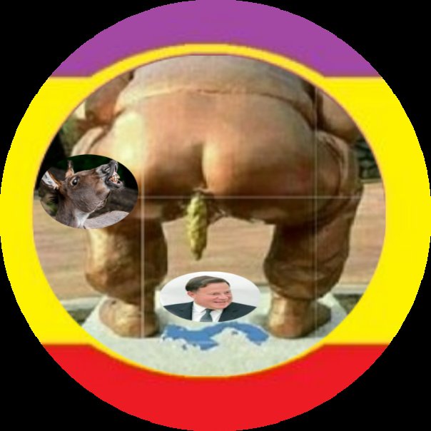 No fue el Tortugon .. los 3 perros del tribunal Electoral