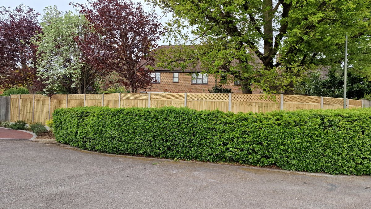 RKS_Landscapes's tweet photo. Back in The Spring we transformed this boundary line by replacing the existing 1988 fence with 6ft fully framed treated green panels, 1ft Lilleshall privacy trellis, 12" concrete gravelboards and 10ft concrete posts 💪🌴👌 #fencing #ashtead #happycustomer #rkslandscapes https://t.co/wij8FjXfky