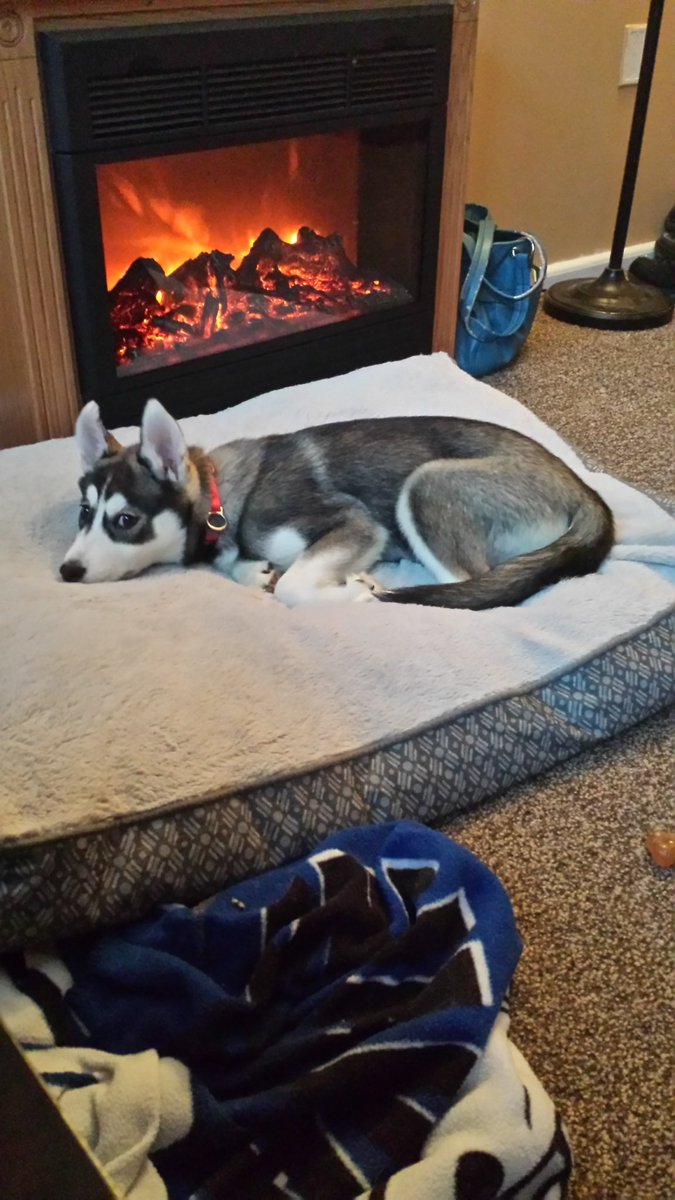 lastkisscowboy's tweet image. #StoriesForSwift