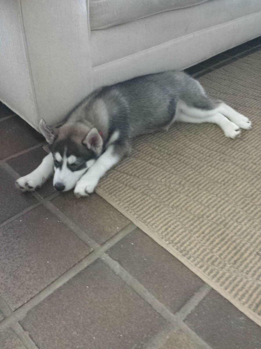 lastkisscowboy's tweet image. #StoriesForSwift