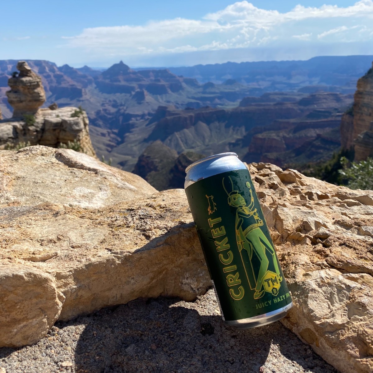 Where in the world is Trademark Brewing!? 🧐 Take your favorite #TrademarkBrewing brews on the road! Tag us in your travels for all the fomo! trademarkbrewing.com/collections/be…