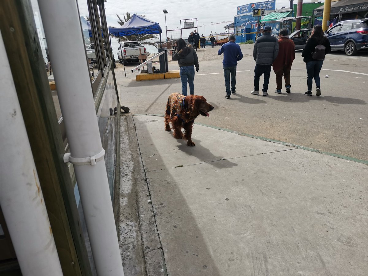 Herman Johnson Armijo tweet media