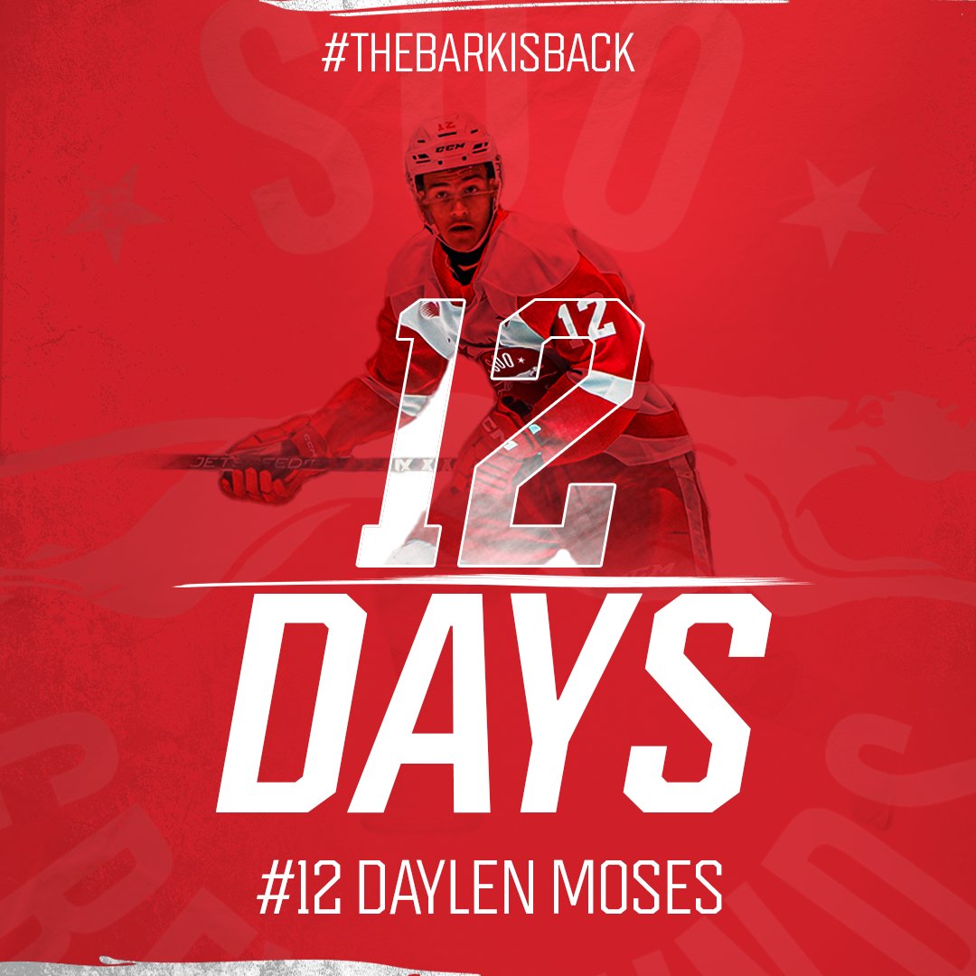 12 DAYS until season opener!

#TheBarkIsBack