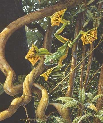 Phenomena tweet media