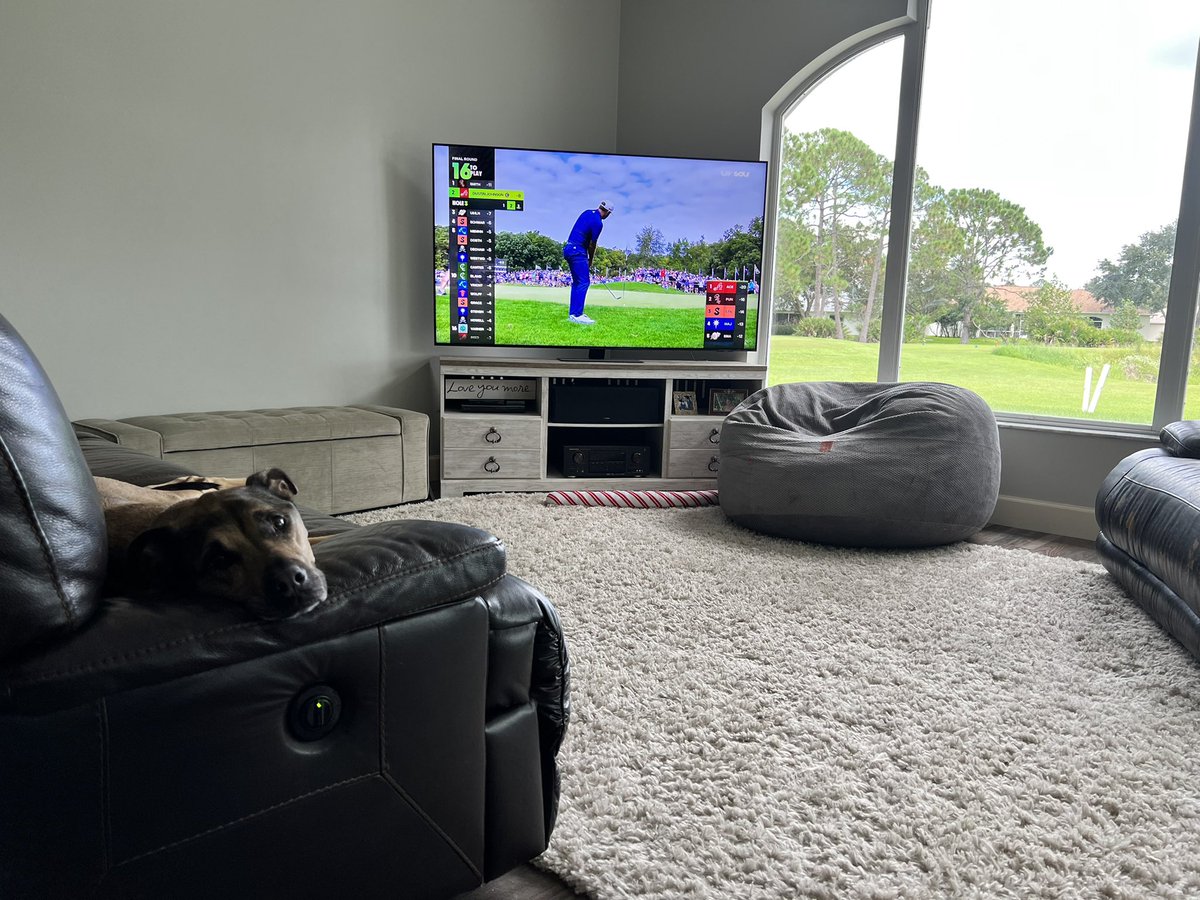 wesexcellenceX's tweet photo. My dog not as into LIV Golf as I am!
#LIVGolf #LIVGolfChicago https://t.co/VPZ9B2YhHR