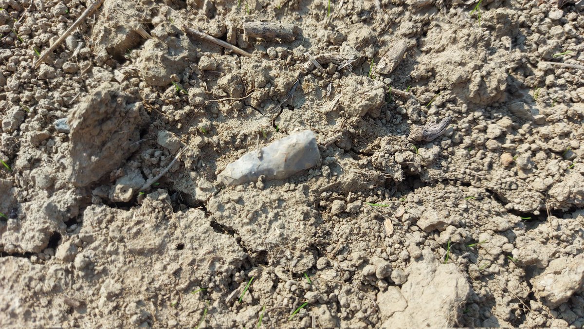 ON_Rockhound's tweet photo. Found a couple more artifacts yesterday.
#arrowhead #arrowheadhunting #History https://t.co/Qb5EYEVQgQ