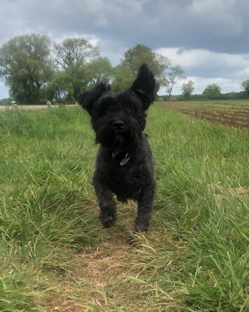 Steve&Kim tweet media