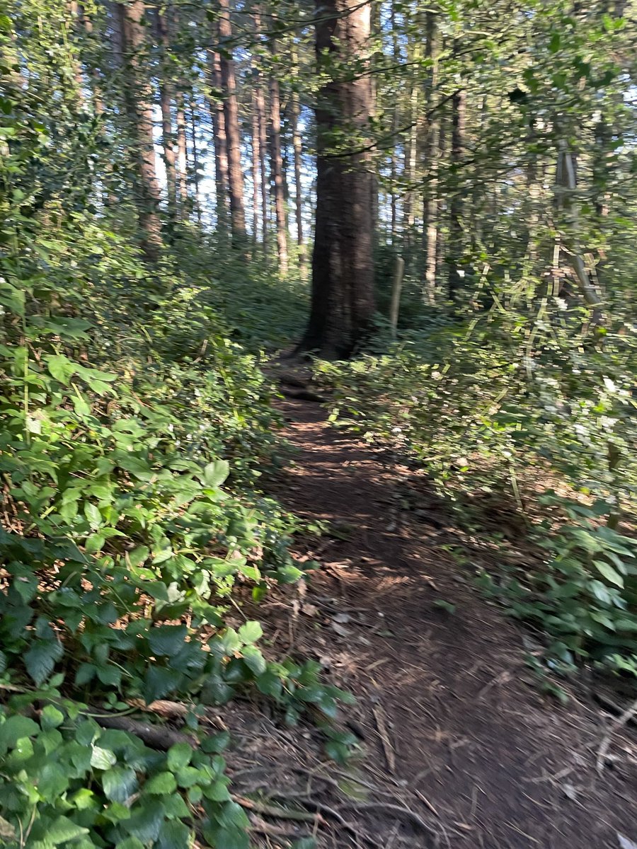 Mark Mawdsley tweet media