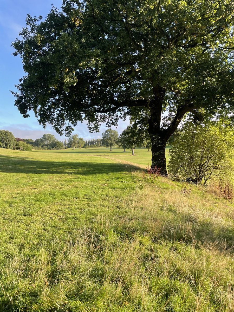 Mark Mawdsley tweet media