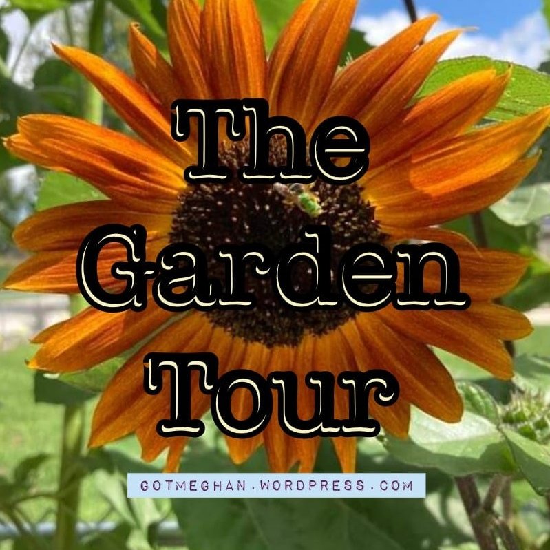 Meg(z)han (@gotmeghan) on Twitter photo I have unleashed my second post about our side-yard garden, sunflowers, and pickling journey! Enjoy! 🌻🥒
gotmeghan.wordpress.com/2022/09/23/the…
<a href="/StatesideBBabes/">StatesideBlogBabes</a> <a href="/WorldBloggersRT/">World Bloggers RT</a> <a href="/DisabledBlogs/">#DisabledBloggers</a> @cosyblogclub #TRJForBloggers #TeamBlogger #OurBloggingLife #theclqrt #bloggerloveshare I have unleashed my second post about our side-yard garden, sunflowers, and pickling journey! Enjoy! 🌻🥒
gotmeghan.wordpress.com/2022/09/23/the…
<a href="/StatesideBBabes/">StatesideBlogBabes</a> <a href="/WorldBloggersRT/">World Bloggers RT</a> <a href="/DisabledBlogs/">#DisabledBloggers</a> @cosyblogclub #TRJForBloggers #TeamBlogger #OurBloggingLife #theclqrt #bloggerloveshare