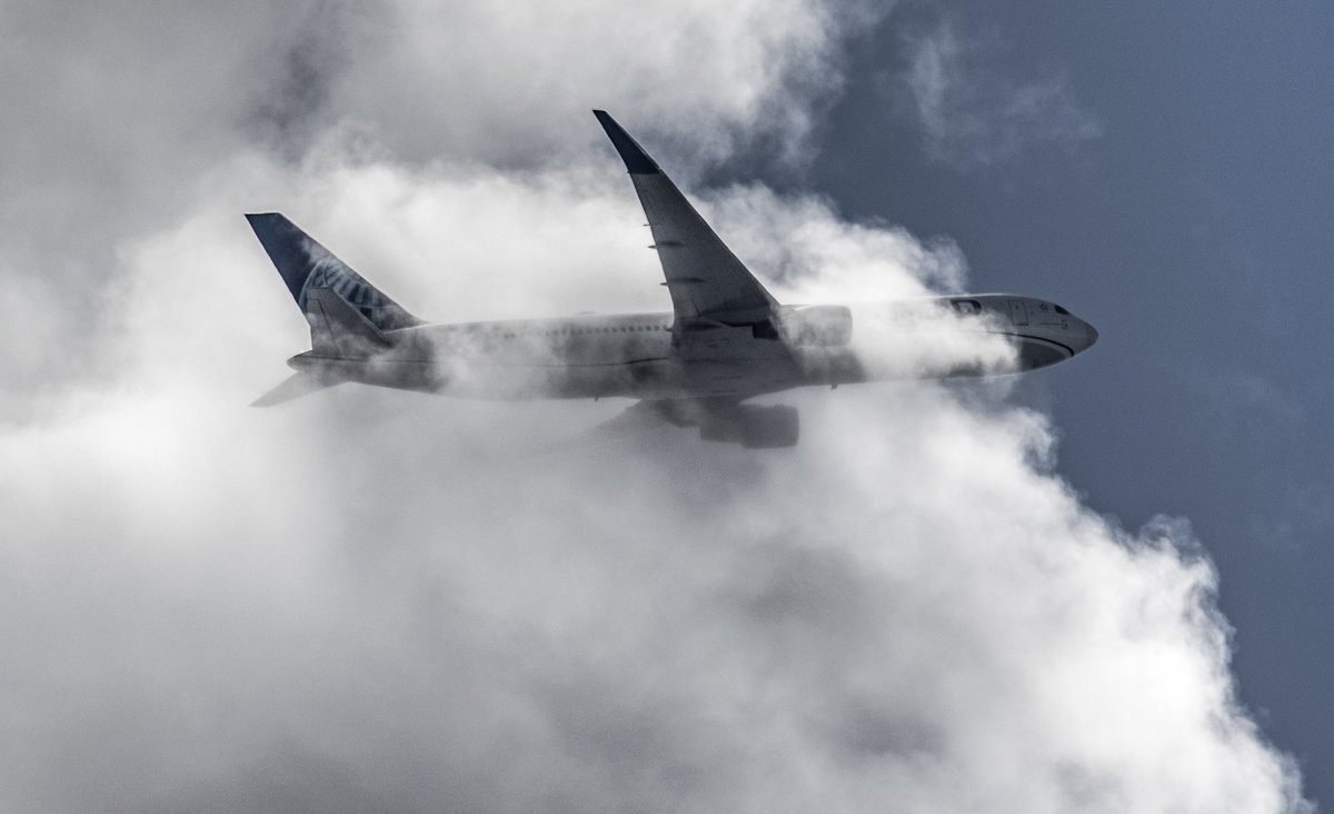 Pat Murphy tweet media