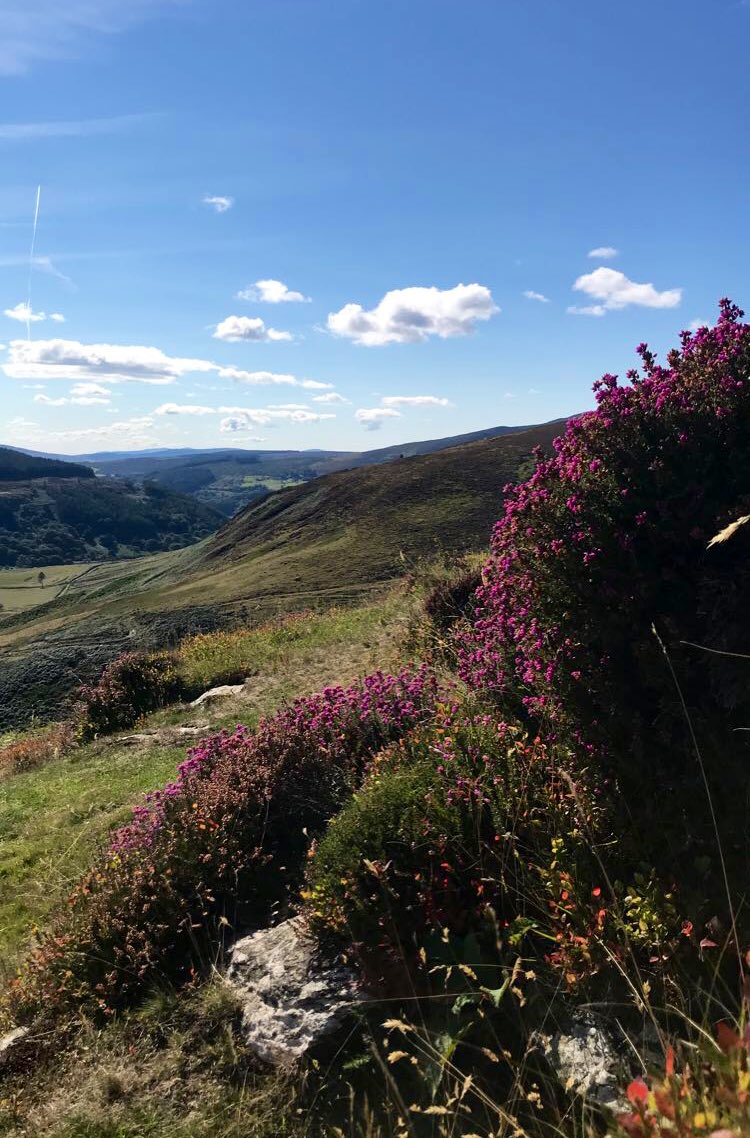 caitdonnelly's tweet photo. What a day! Wicklow never disappoints βοΈπ₯Ύβ° #Wicklow #wicklowway #luggula #loughtay #loughdan #guinnesslake https://t.co/1PvayBg2Rw