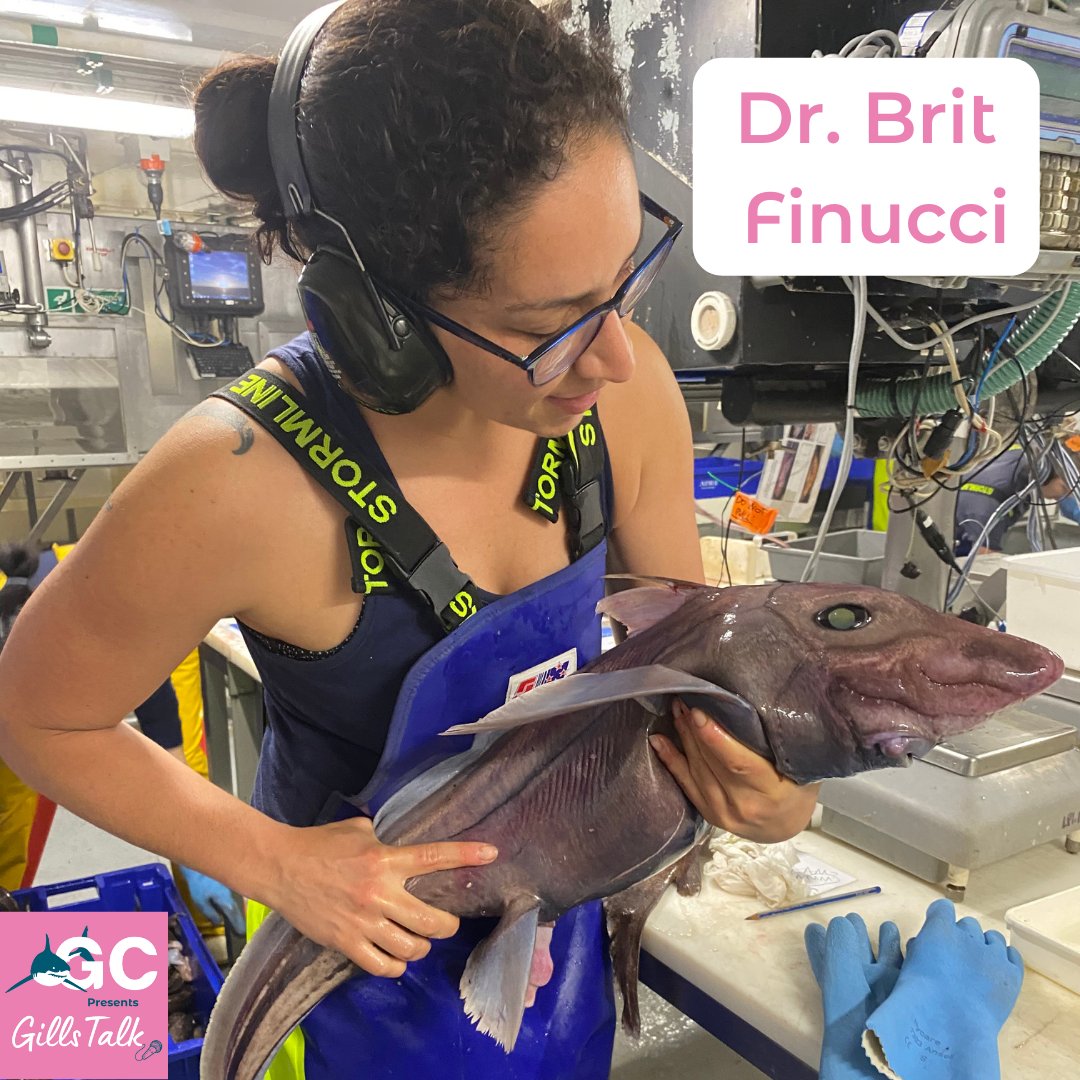 Gills Club (@gillsclub) on Twitter photo Learn about deep sea sharks, chimeras, and skates off of New Zealand with Dr. <a href="/BritFinucci/">Brit Finucci</a> on the newest episode of the Gills Talk Podcast!
podcasts.apple.com/us/podcast/gil… Learn about deep sea sharks, chimeras, and skates off of New Zealand with Dr. <a href="/BritFinucci/">Brit Finucci</a> on the newest episode of the Gills Talk Podcast!
podcasts.apple.com/us/podcast/gil…