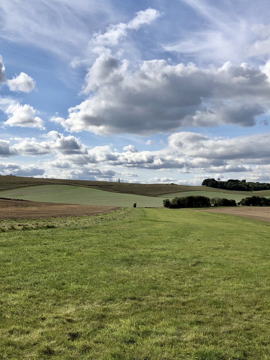 sheenasbit's tweet photo. Gorgeous afternoon for a dog walk π. Stunning light, lovely clouds. Just good to be outside in our beautiful countryside #dogwalking #iphone #beckhampton #Wiltshire https://t.co/O7vIyPS9tV