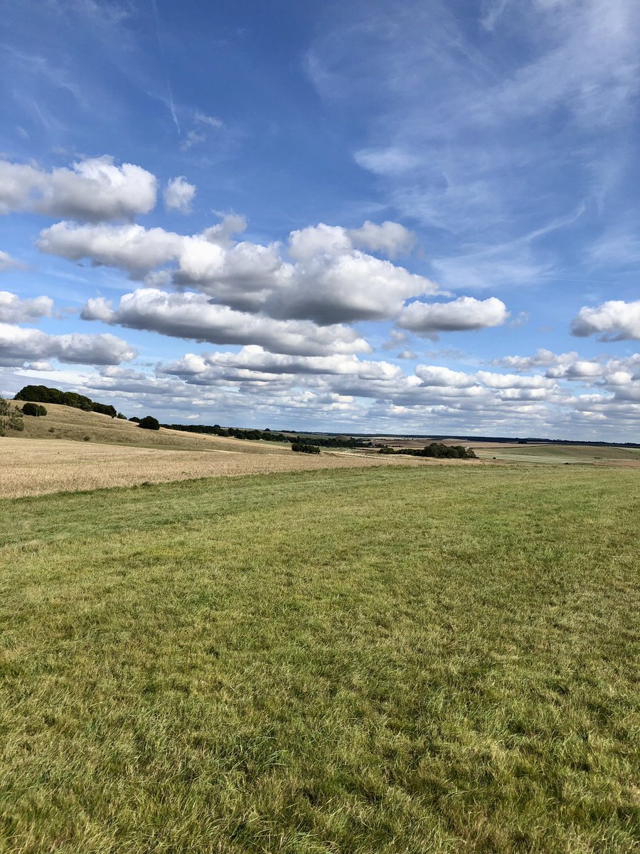 sheenasbit's tweet photo. Gorgeous afternoon for a dog walk π. Stunning light, lovely clouds. Just good to be outside in our beautiful countryside #dogwalking #iphone #beckhampton #Wiltshire https://t.co/O7vIyPS9tV