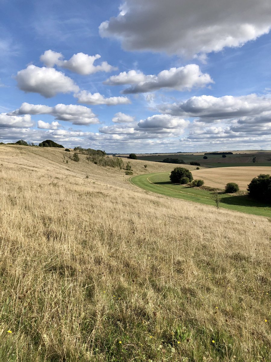 sheenasbit's tweet photo. Gorgeous afternoon for a dog walk π. Stunning light, lovely clouds. Just good to be outside in our beautiful countryside #dogwalking #iphone #beckhampton #Wiltshire https://t.co/O7vIyPS9tV