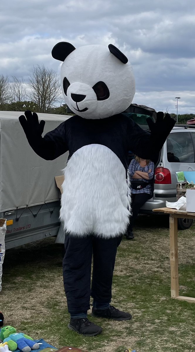 Phoenix Interiors (@vintage_phoenix) on Twitter photo Panda wants to know if you have finished with his spare suit? <a href="/AAuctioneers/">Rik Alexander</a> @CraigHughes666 Panda wants to know if you have finished with his spare suit? <a href="/AAuctioneers/">Rik Alexander</a> @CraigHughes666