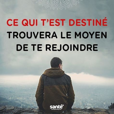 ResoNoVax's tweet photo. 🚨🚨🚨 #ALERTE !!!

UN PTIT #COUP DE #MAIN POUR TOUS LES #FOLLOWERS DE @Fbc_Pt VOICI SON COMPTE DE SECOURS CAR IL EST EN TRAIN DE #CONTESTER SON #BAN 👇👇👇

#AJOUTEZ LE À NOUVEAU https://t.co/fPifRFLoJq