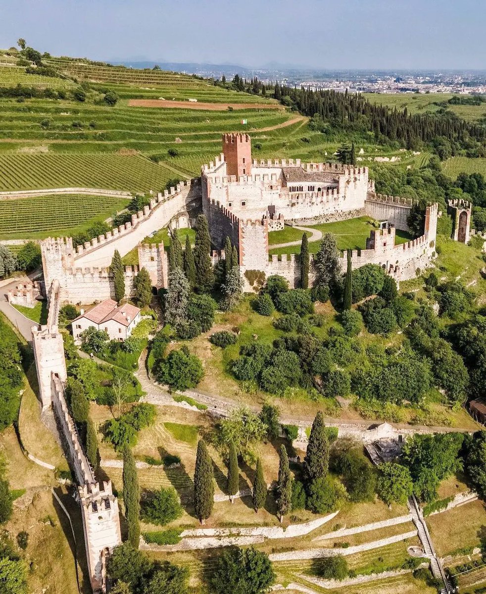 VENETISSIMO tweet media