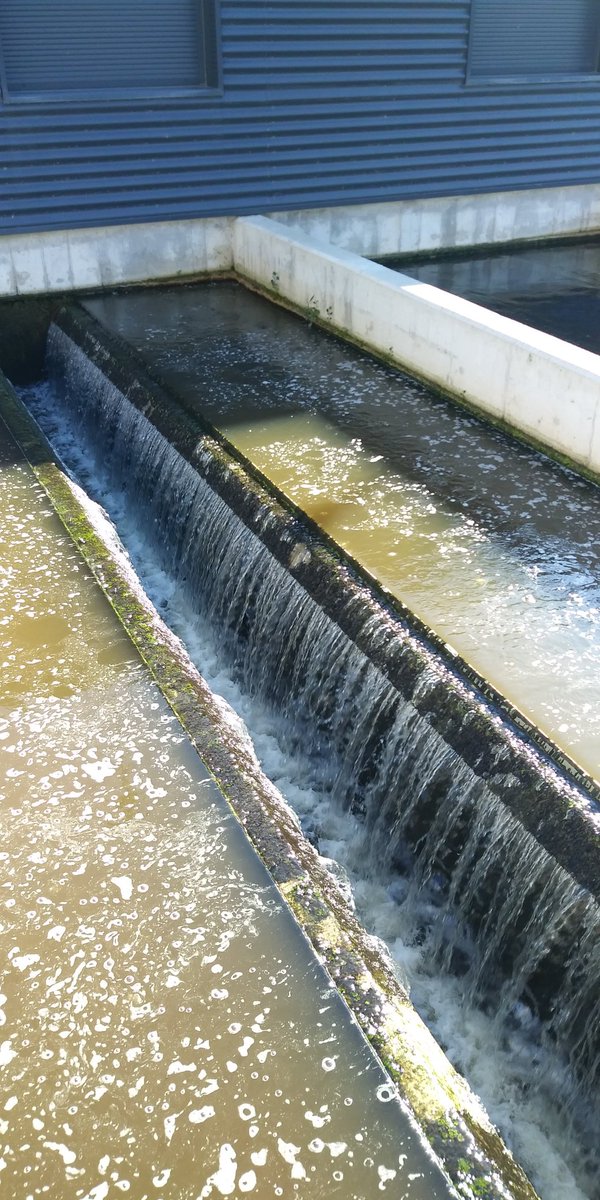 Hoy se celebra el Día Mundial del Control de la Calidad del Agua para concienciar a las personas de la importancia de la calidad de sus aguas
Del <a href="/ConsorcioRioja/">ConsorciodeAguasyResiduosdeLaRioja</a> dependen 5 sistemas supramunicipales de abastecimiento que atienden a 59 municipios de #LaRioja y 60.000 habitantes