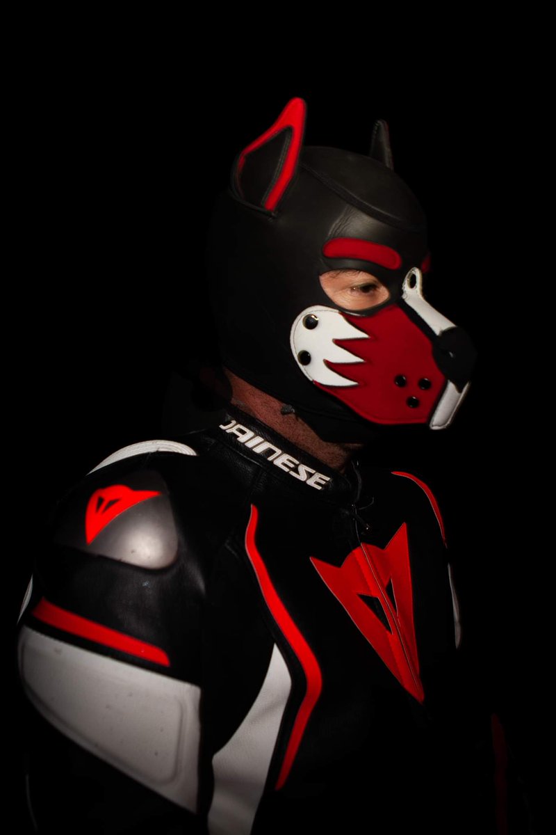 PupDainese's tweet photo. https://t.co/I4kZqyfkRz