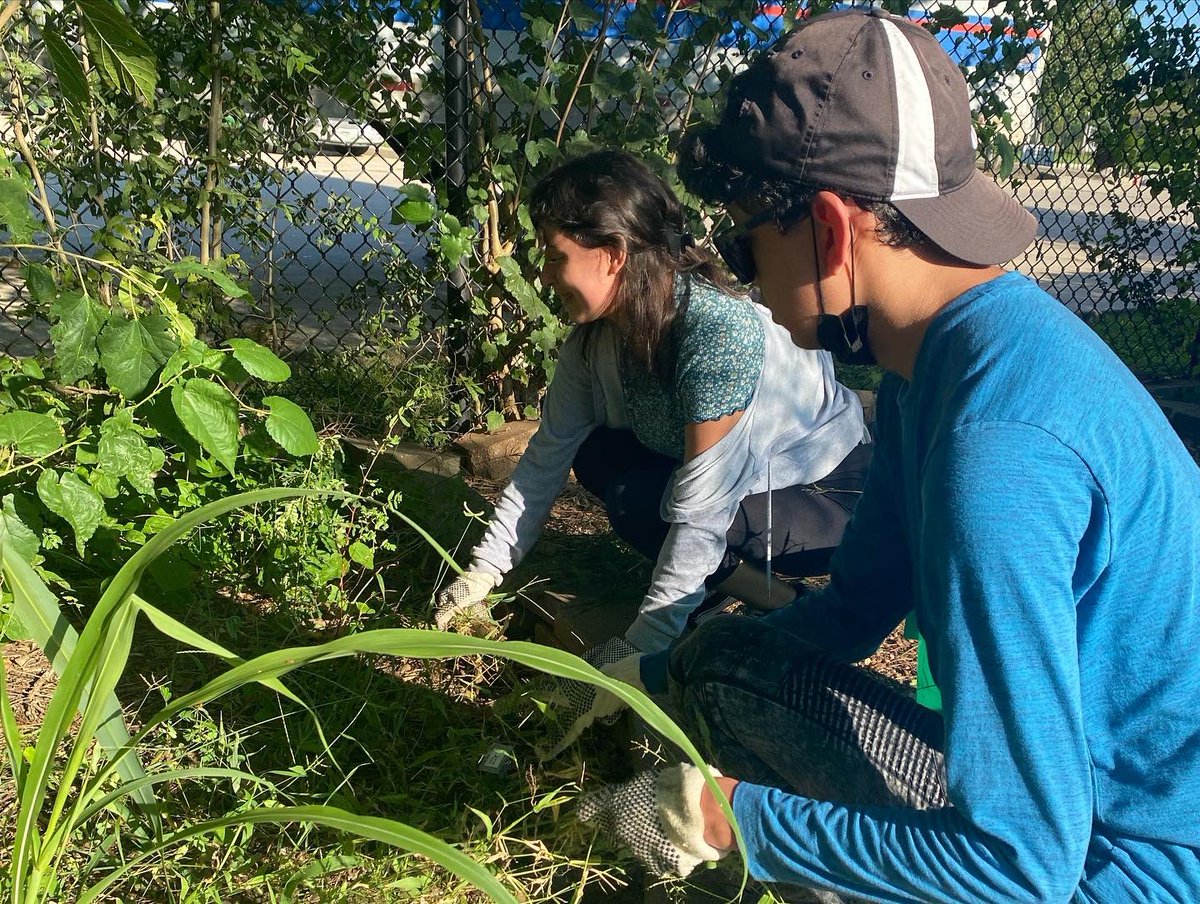 LobosInteract's tweet photo. Thank you to the people who came to the Keep Pearland Beautiful event! We helped pull out weeds from the garden and even got to see ducks! 🦆 https://t.co/YLQI5OIu6H