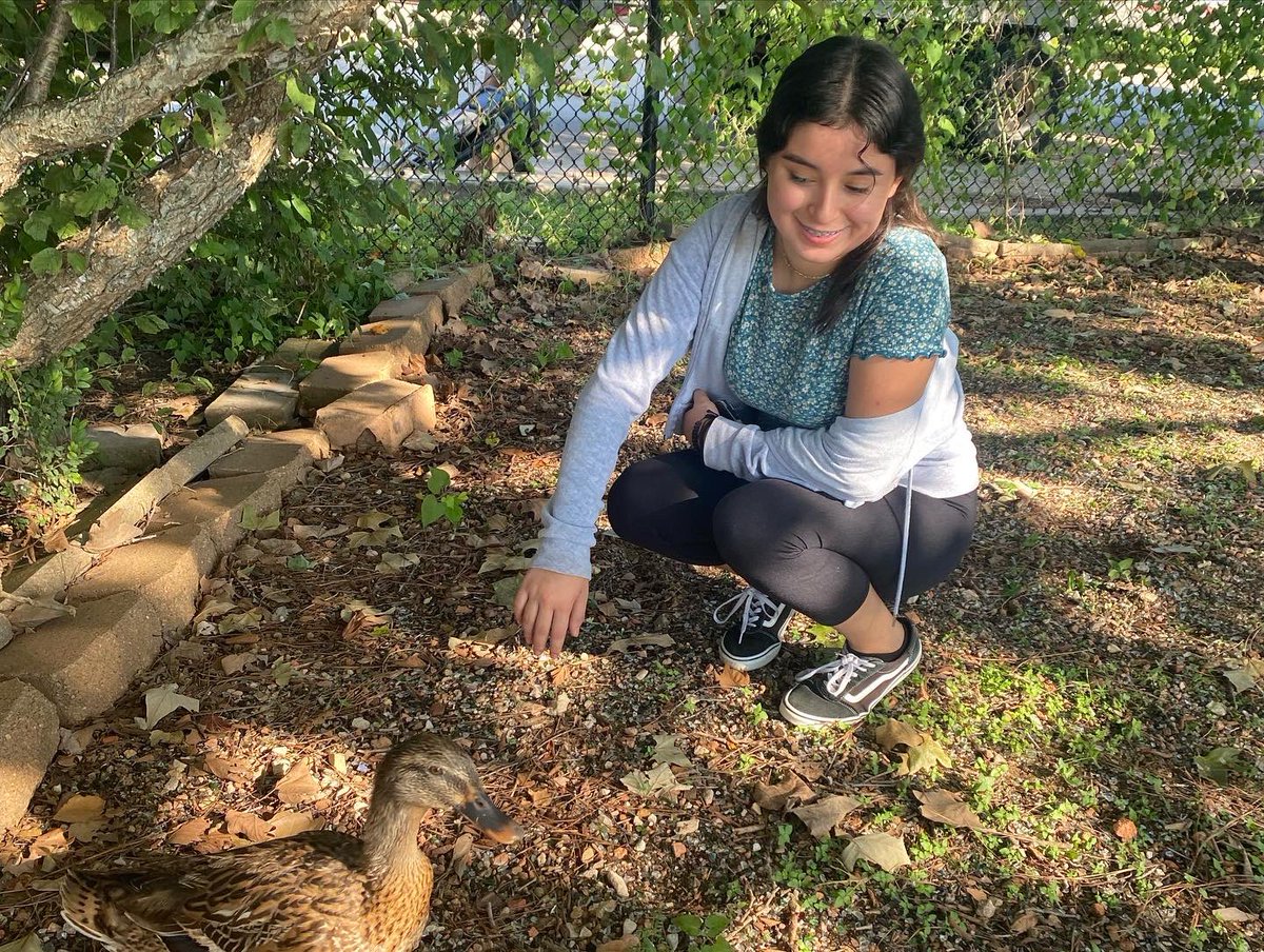 LobosInteract's tweet photo. Thank you to the people who came to the Keep Pearland Beautiful event! We helped pull out weeds from the garden and even got to see ducks! 🦆 https://t.co/YLQI5OIu6H