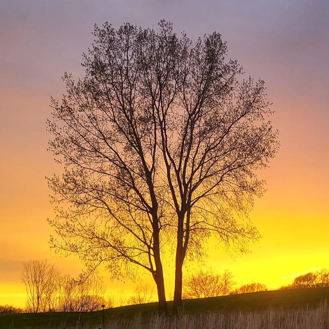VisitPlPrairie's tweet photo. Pleasant Prairie sunsets will never get old. 😎

📷: eropkin1

Tag your Pleasant Praire shots using #VisitPleasantPrairie for a chance to be featured!

#PleasantPrairie #PrairieSpringsPark #LakeAndrea https://t.co/uUN3S3S4YJ