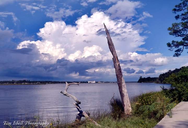 Tim Isbell tweet media