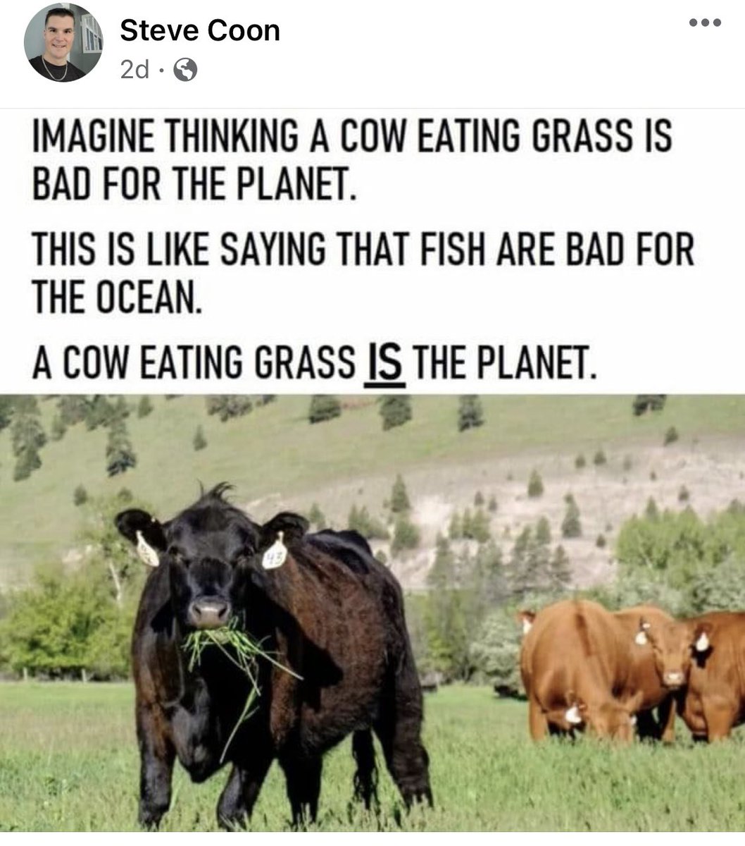 Regenerative farming with cows is part of the solution.
