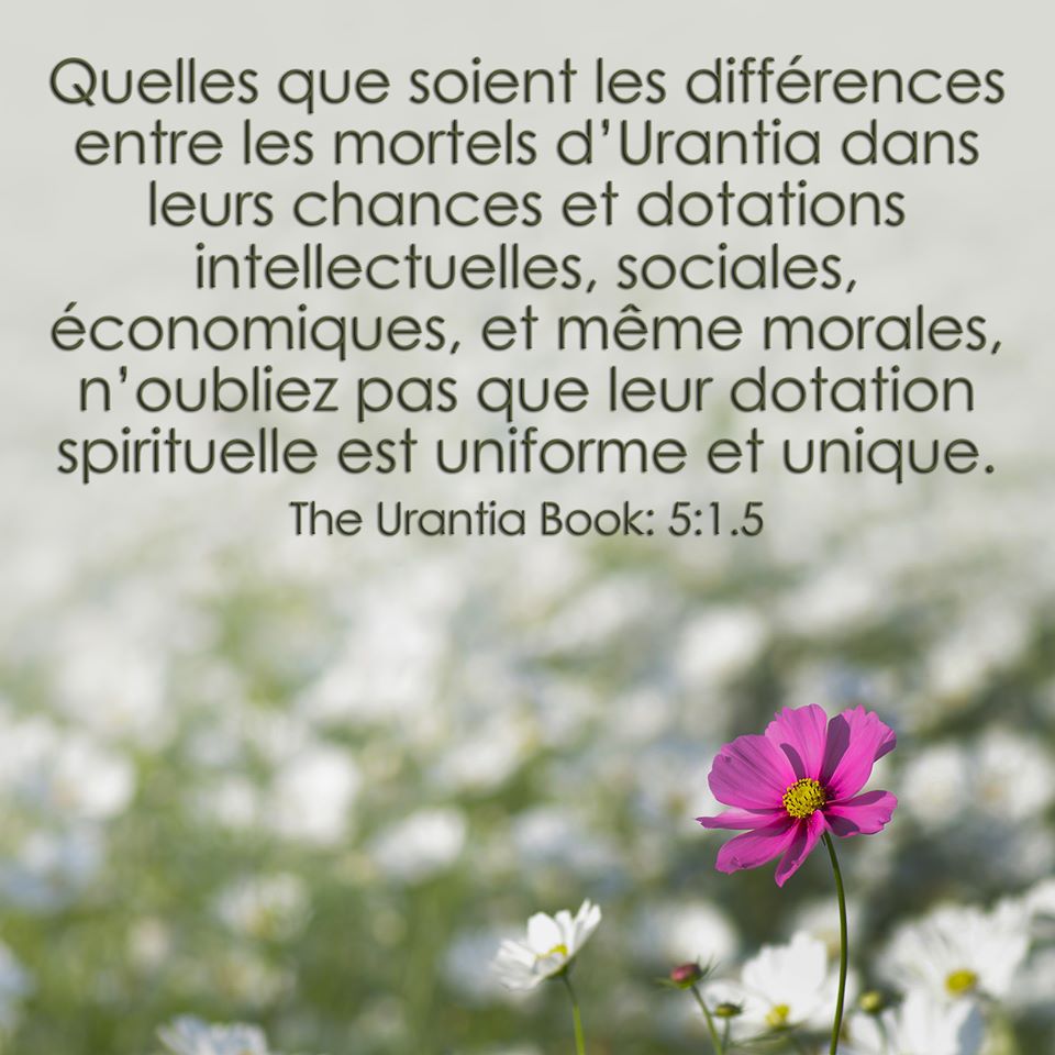 holycityoftruth's tweet photo. As you are asleep in the materiality, so shall you believe that this one moment is your life and existence. Yet, as you awaken upon the plains of eternity, so will you perceive and experience that your existence is in the Universal One .. and this lifetime is one of many... https://t.co/538T2nDBR0