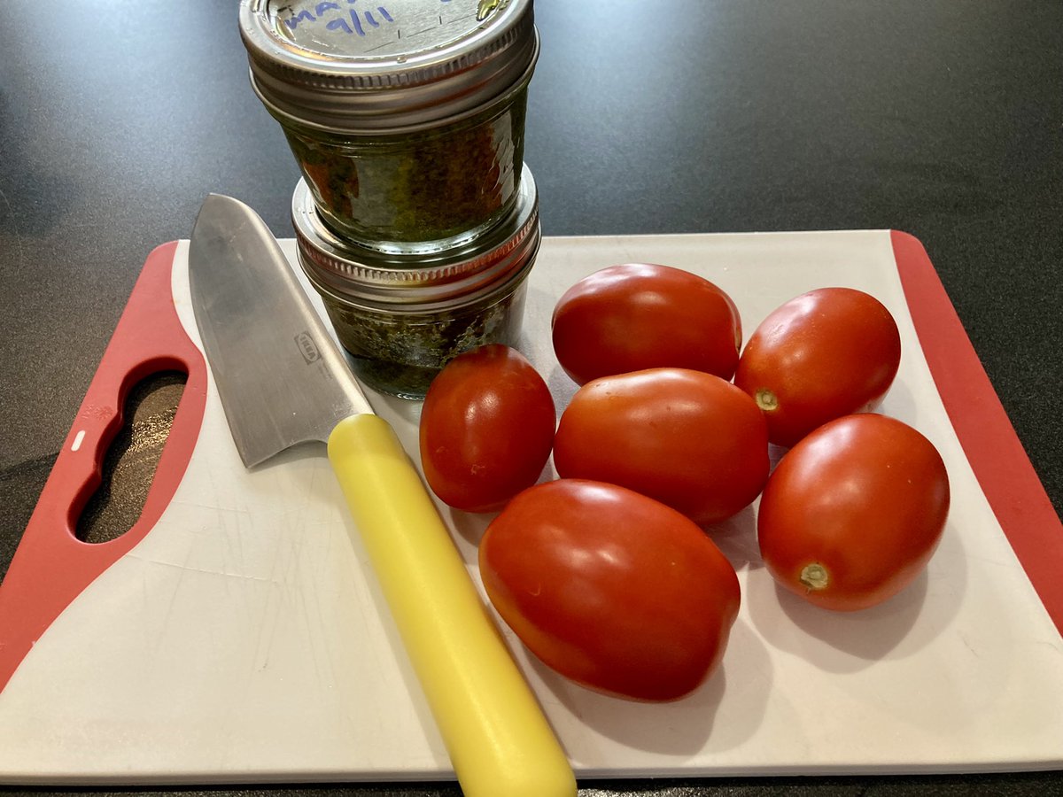 dwntwndwn's tweet photo. Summer Bam Camp ended for the #Granddiva and me about 7 weeks ago, and we are still seeing the rewards of several of our science lessons. Our Sea Monkeys are hanging on, we’ve harvested basil and made batches of pesto 3 times, and today we plucked 6 juicy tomatoes from our plant! https://t.co/I6pgYhFQ9L