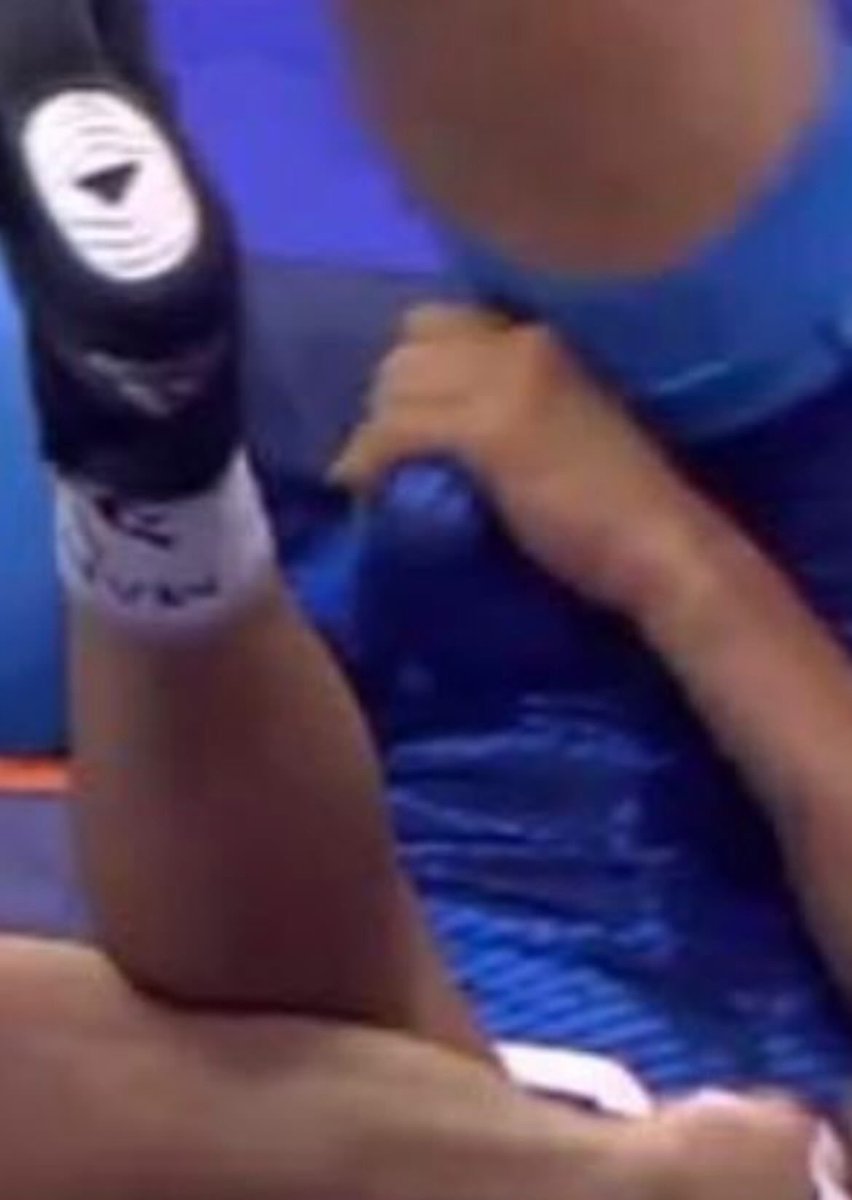 Fred Bear Bulldog™️ tweet media