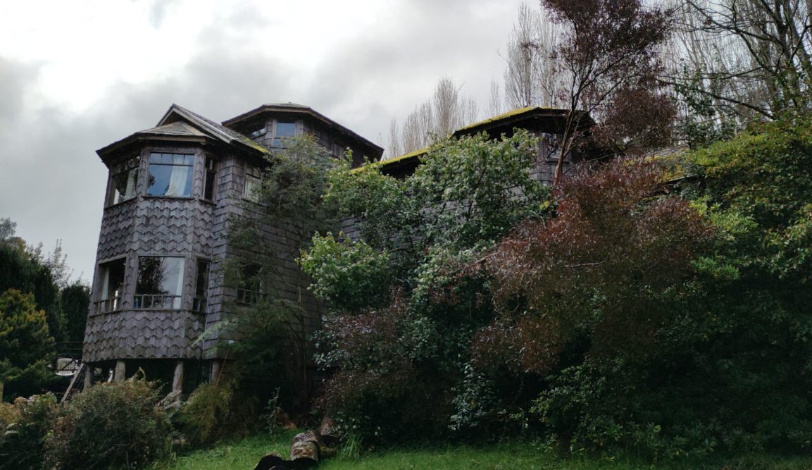 Andrea Maturana tweet media