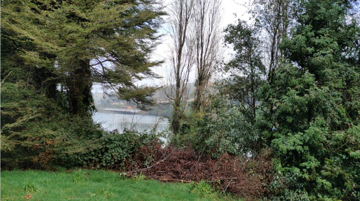 Andrea Maturana tweet media