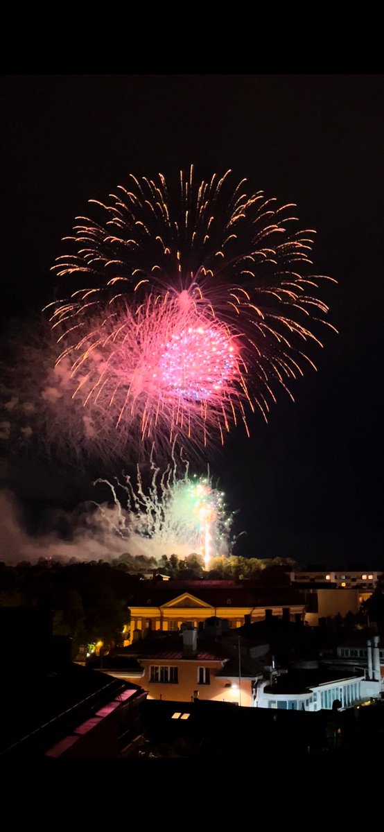 teekirjo's tweet photo. Turun päivä päättyi upeaan ilotulitukseen. Posankka Raceen osallistuneen, puhtaiden vesistöjen puolesta adoptoimamme kylpyposankan menestys jäi sen sijaan odotettua vaatimattomammaksi. Hauska toteutus ja hienot tarkoitusperät yhtä kaikki! #posankka #turku #kissmyturku @roskaroope https://t.co/hEa7u13uS2