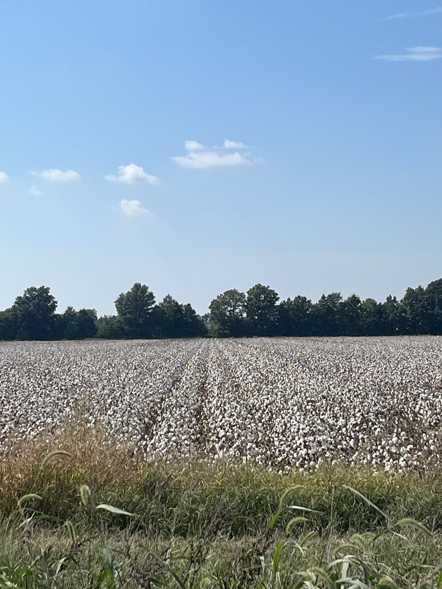 Chad Fullerton tweet media