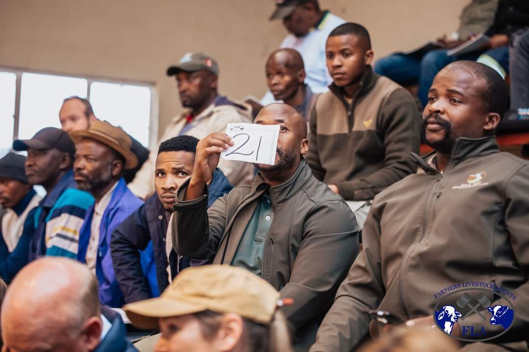 Ndumiso Gule tweet media