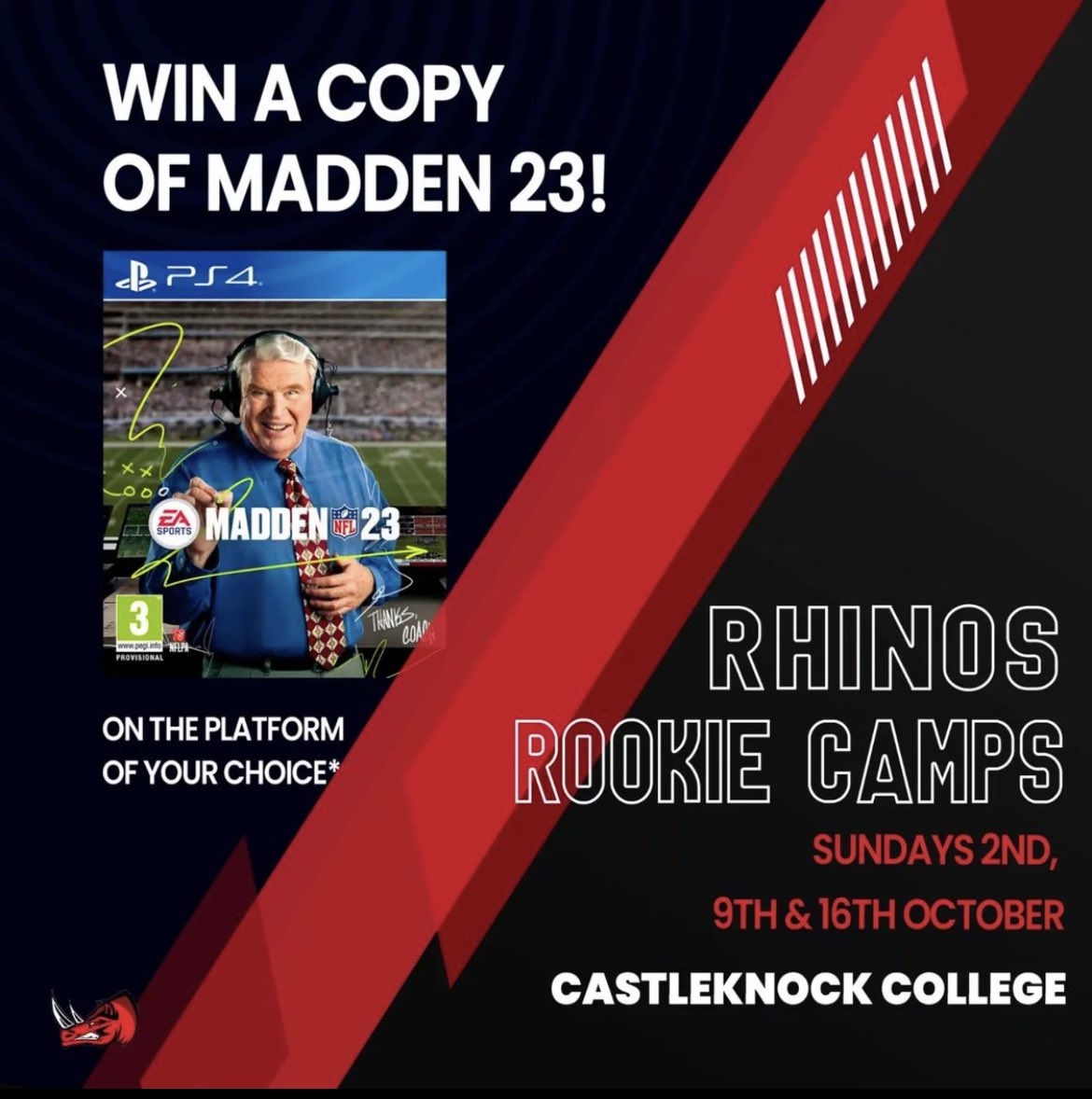DublinRhinos tweet picture
