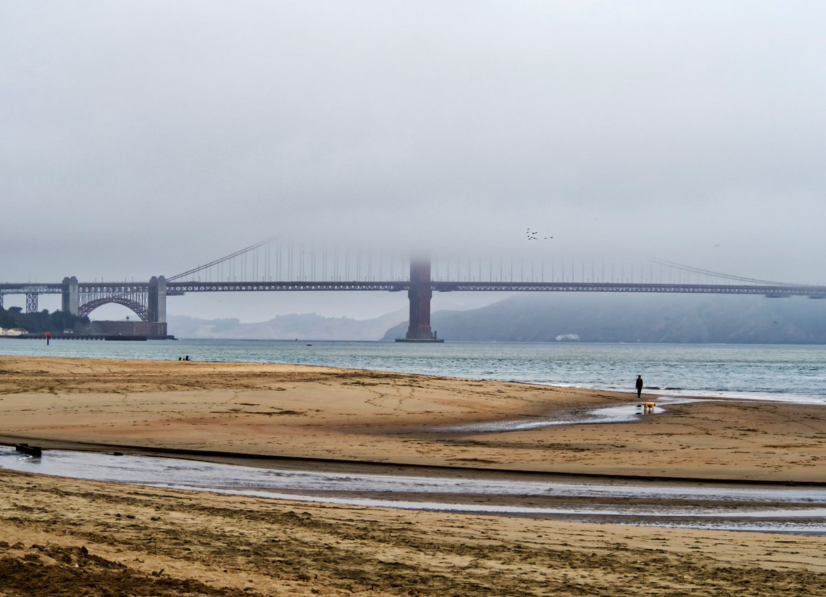 The beach at Crissy Field in San Francisco on a foggy day.
#goldengate #bridge #crissyField #travel #landscape #beach #olympus #olympusUK #sanFrancisco