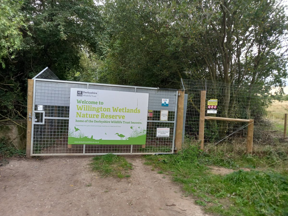 alrewas birder tweet media