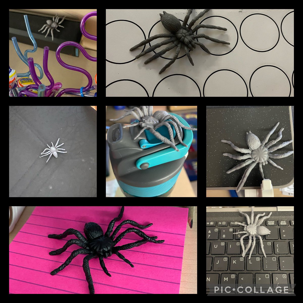 I made the mistake of telling the 3’s that the only spider I care for is Charlotte. The next a.m., it began: Let’s see how many X’s throughout the day we can scare Ms. Hughes. Spiders were strategically placed where they knew I would go. #FunnyKids #GenuineReactions <a href="/EIMJaguars/">E.I. McCulley</a>