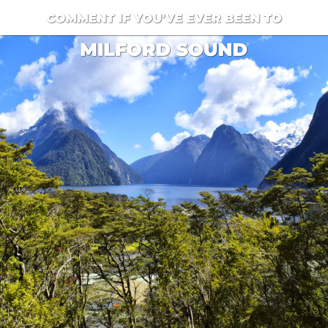 BPKGuide's tweet image. 🗨️ Comment if you've ever been to Milford Sound

#nzmustdo #nzpocketguide #purenz #destinationnz #newzealandvacations #newzealandlife #newzealandfinds #travelnewzealand #visitnewzealand #newzealandtrip #travelnz #newzealandguide #nz #newzealand