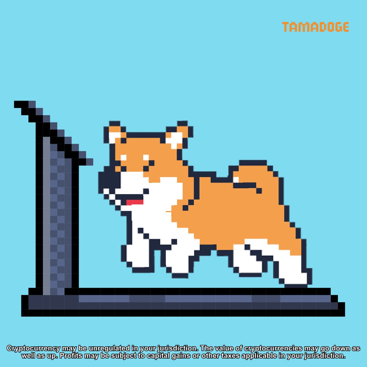Tamadogecoin's tweet photo. #Tamadoge Training For A #Bullrun 👀🚀 https://t.co/CmFIgnKVue