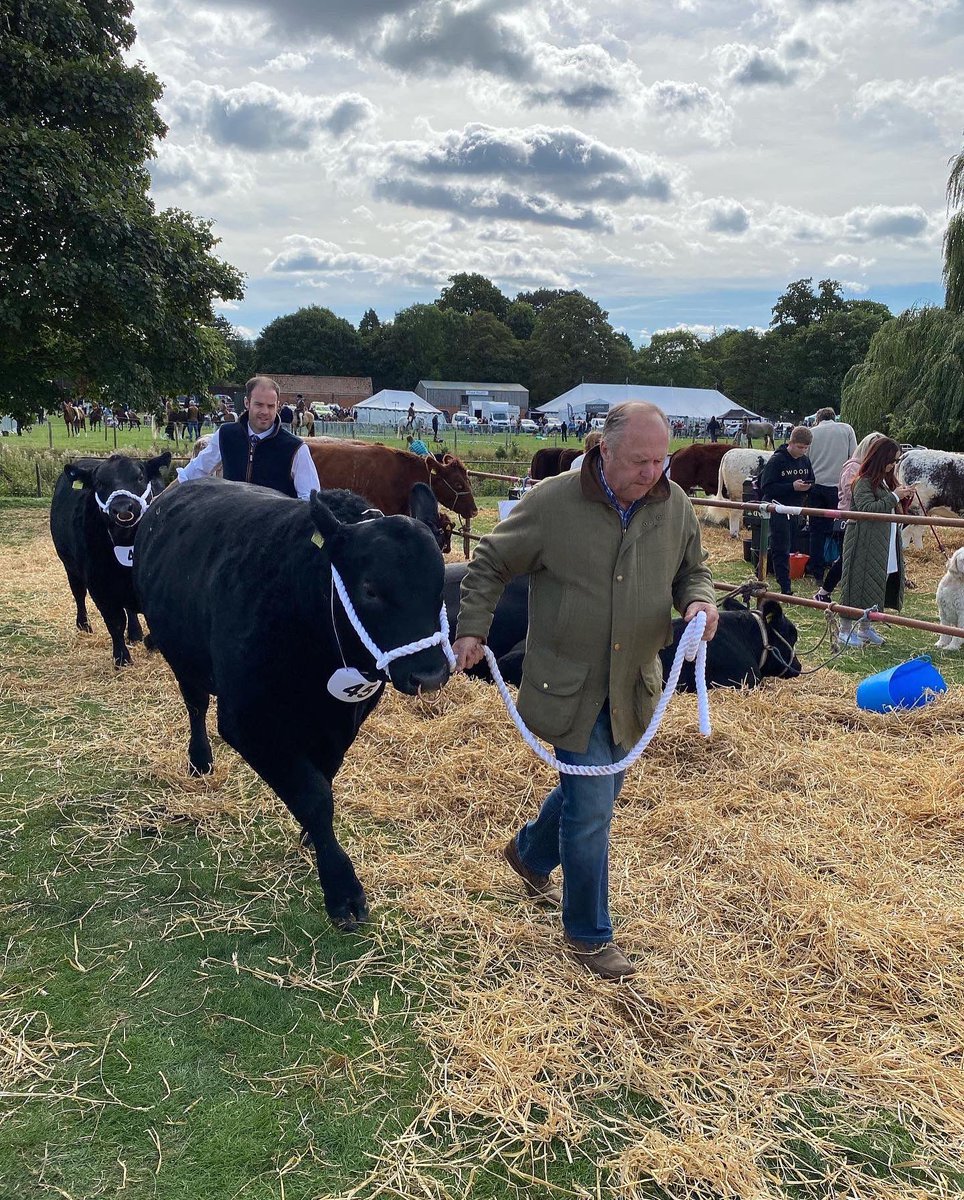 We attended @stokesleyshow yesterday with two of our young bulls. We came away with a second and a third.
.
.
.
.
#millclosefarmshop #pedigree #yorkshiredalesmeat #stokesleyshow #aberdeenangus