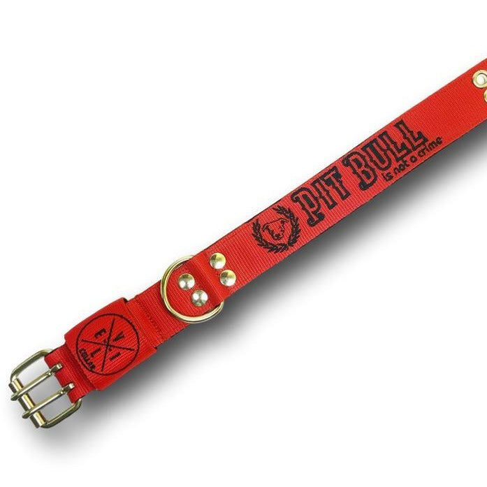 EvilCollar's tweet photo. 😍 Collare 4cm Pit Bull is not a Crime 2020 😍 
solo da EvilCollar a partire da €48.00. 

🚨Shop now 👉 https://t.co/WRbCHO2dvS

#customcollars #collari #collaripersonalizzati #dogs #dogslife #staffy #staffylovers #pitbull #evilcollar #dog #americanbully #doggo #dogcollars https://t.co/enwFodi8Xi