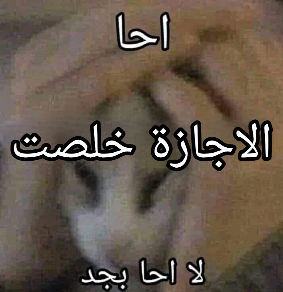 الحالة